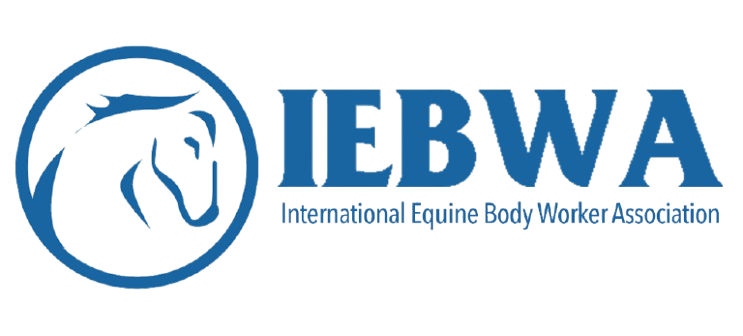 International Equine Body Worker Assosciation