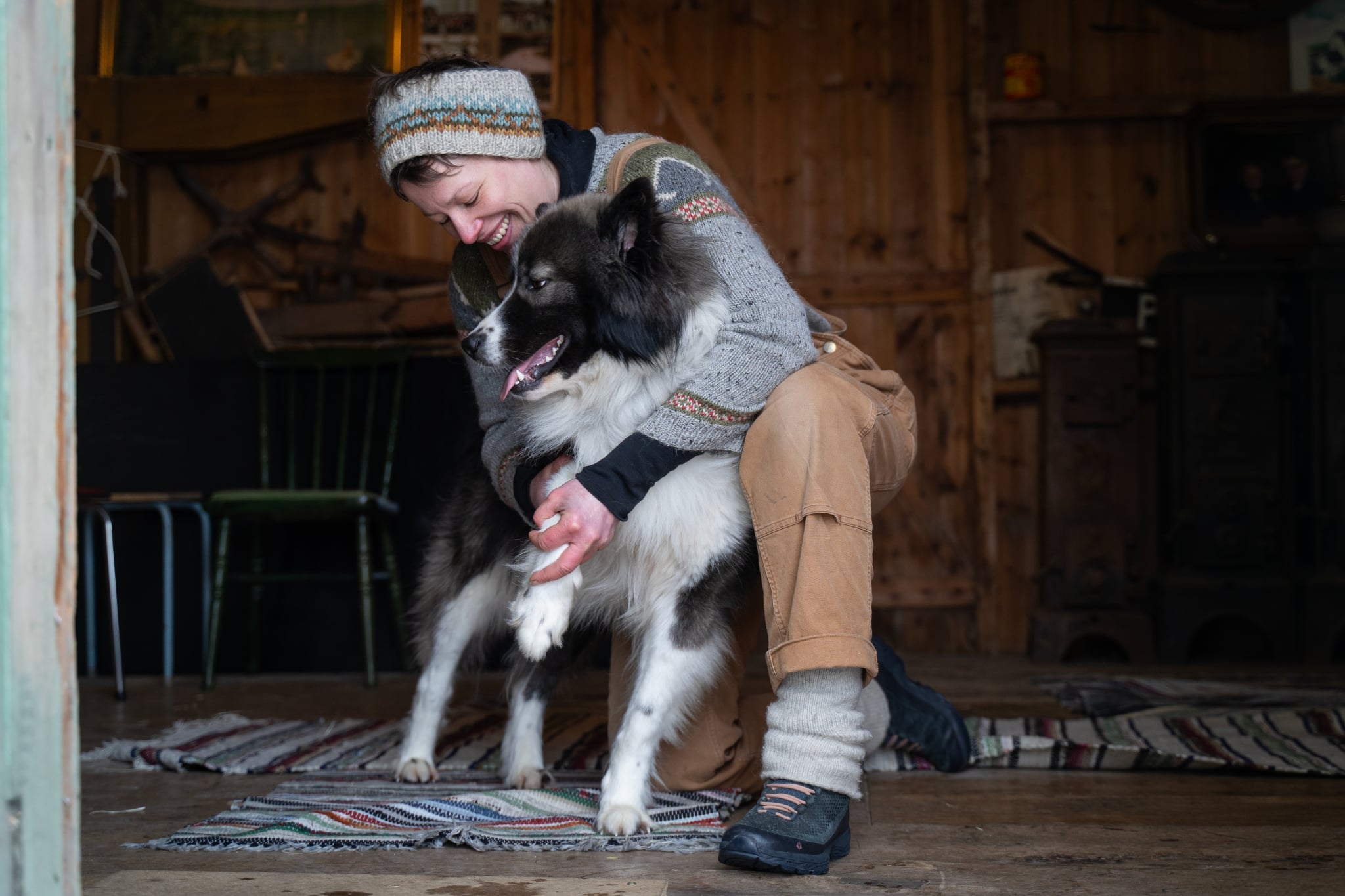 Hund i Bevegelse